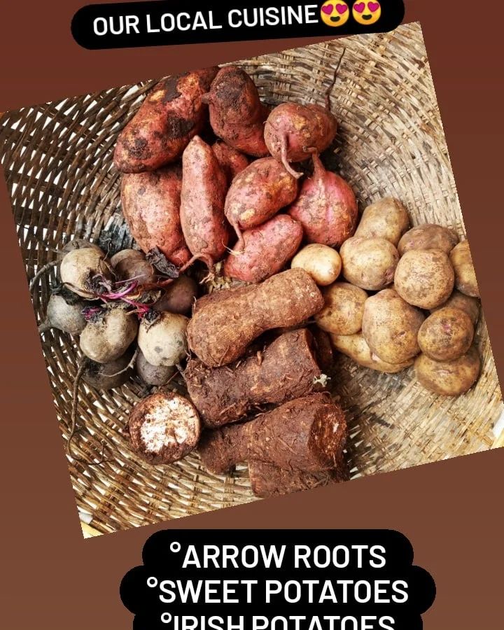 Root tubers